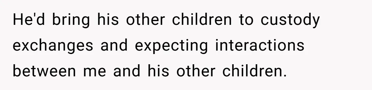 He'd bring his other children to custody exchanges and expecting interactions between me and his other children.