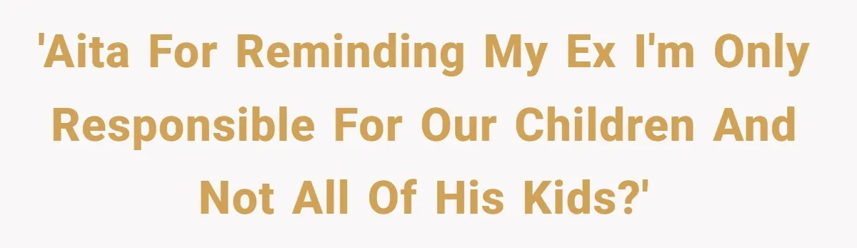 'AITA for reminding my ex I'm only responsible for our children and not all of his kids?'