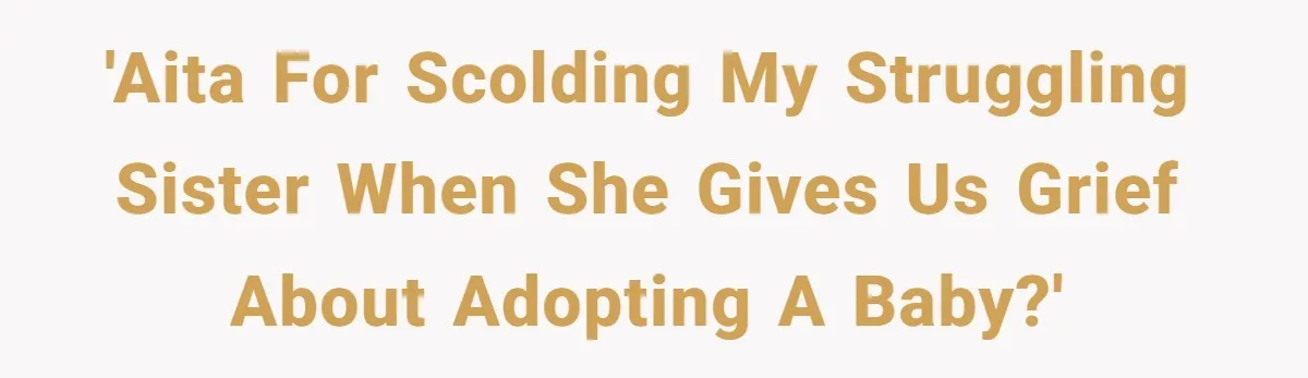 'AITA for scolding my struggling sister when she gives us grief about adopting a baby?'