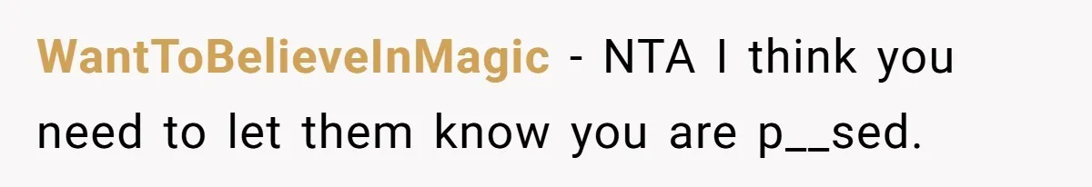WantToBelieveInMagic − NTA I think you need to let them know you are p__sed.