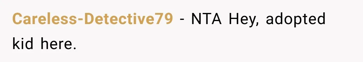 Careless-Detective79 − NTA Hey, adopted kid here.
