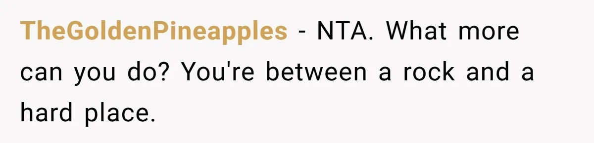 TheGoldenPineapples − NTA. What more can you do? You're between a rock and a hard place.