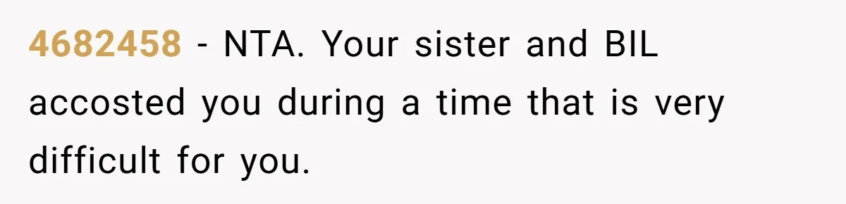 4682458 − NTA. Your sister and BIL accosted you during a time that is very difficult for you.