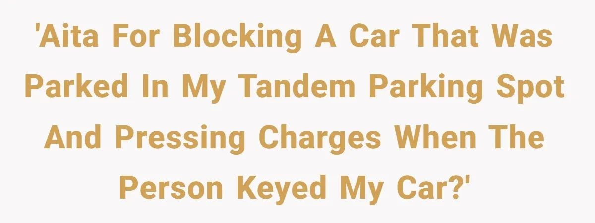'AITA for blocking a car that was parked in my tandem parking spot and pressing charges when the person keyed my car?'