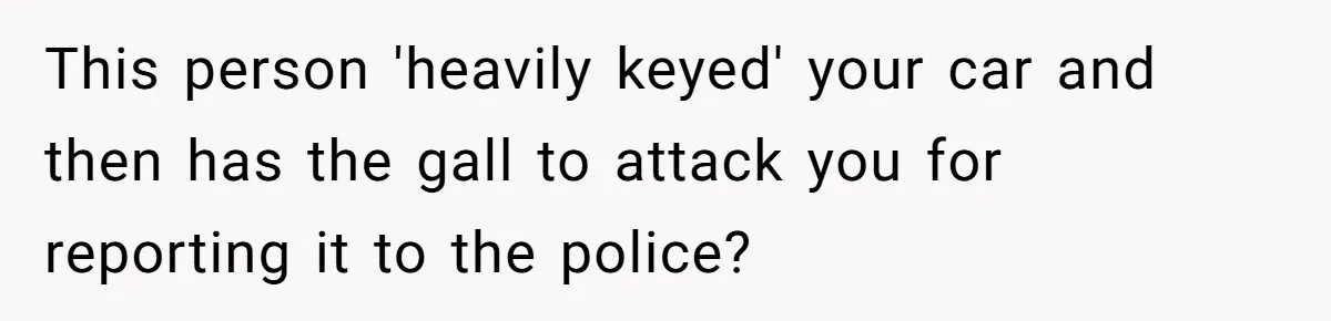 This person 'heavily keyed' your car and then has the gall to attack you for reporting it to the police?