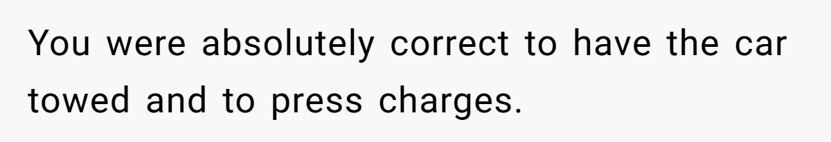You were absolutely correct to have the car towed and to press charges.