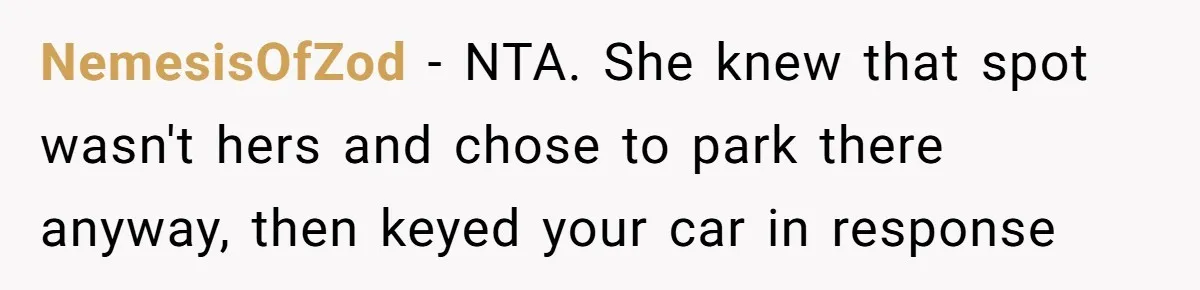 NemesisOfZod − NTA. She knew that spot wasn't hers and chose to park there anyway, then keyed your car in response