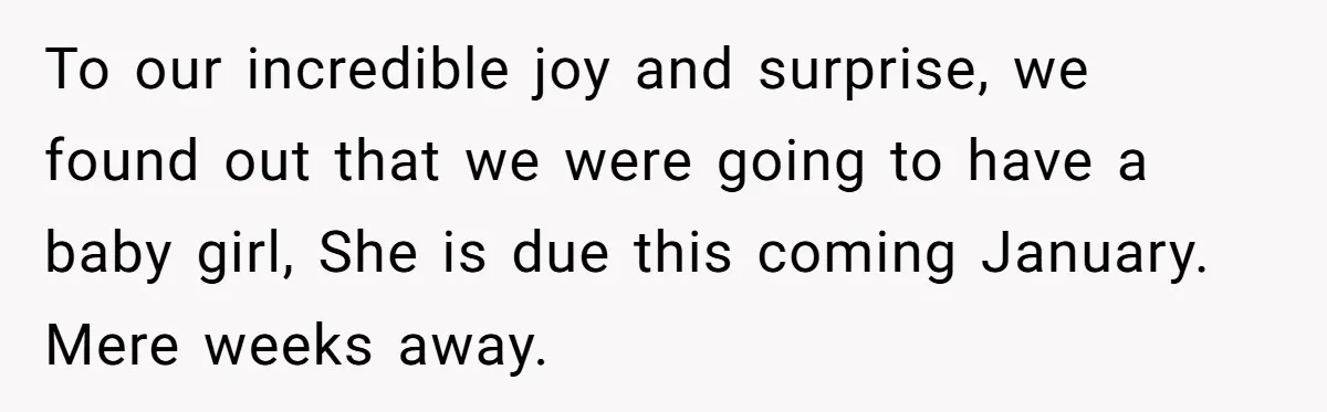 To our incredible joy and surprise, we found out that we were going to have a baby girl, She is due this coming January. Mere weeks away.