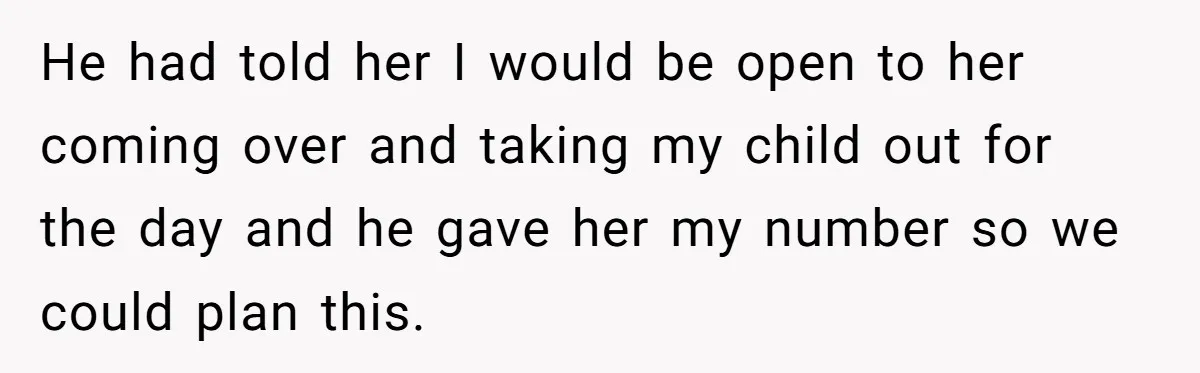 He had told her I would be open to her coming over and taking my child out for the day and he gave her my number so we could plan...