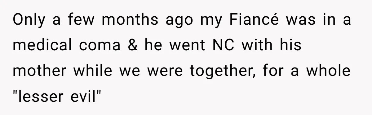 Only a few months ago my Fiancé was in a medical coma & he went NC with his mother while we were together, for a whole "lesser evil"