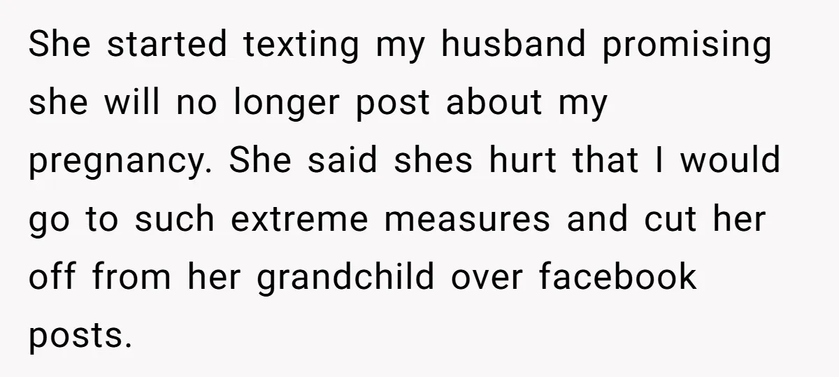 She started texting my husband promising she will no longer post about my pregnancy. She said shes hurt that I would go to such extreme measures and cut her off...