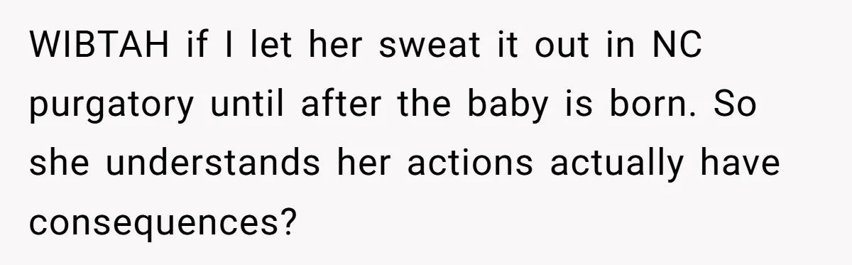 WIBTAH if I let her sweat it out in NC purgatory until after the baby is born. So she understands her actions actually have consequences?