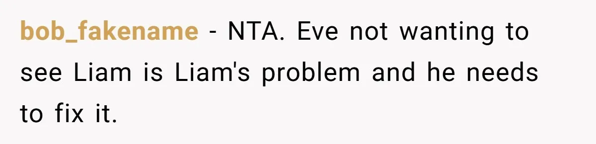 bob_fakename − NTA. Eve not wanting to see Liam is Liam's problem and he needs to fix it.