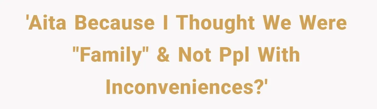 'AITA because I thought we were "family" & not ppl with inconveniences?'
