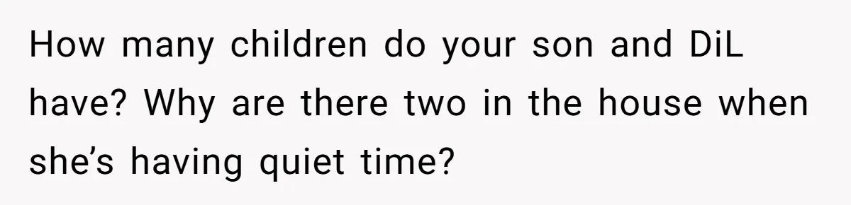 How many children do your son and DiL have? Why are there two in the house when she’s having quiet time?