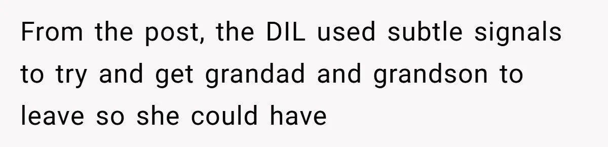 From the post, the DIL used subtle signals to try and get grandad and grandson to leave so she could have