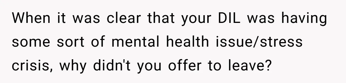 When it was clear that your DIL was having some sort of mental health issue/stress crisis, why didn't you offer to leave?