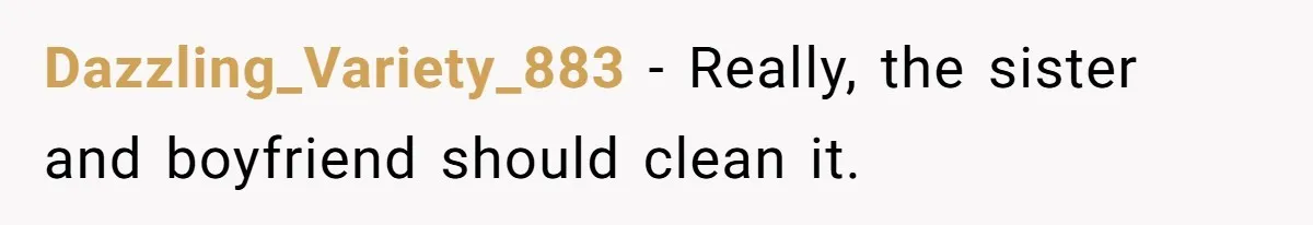 Dazzling_Variety_883 − Really, the sister and boyfriend should clean it.