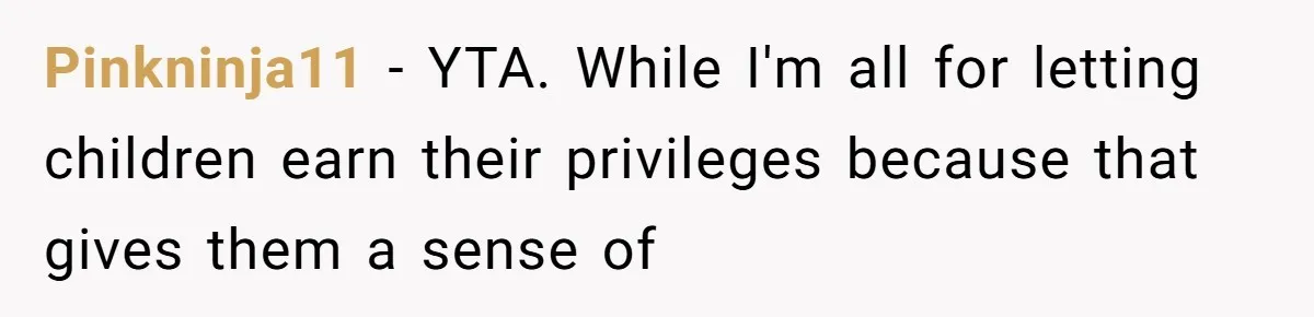 Pinkninja11 − YTA. While I'm all for letting children earn their privileges because that gives them a sense of