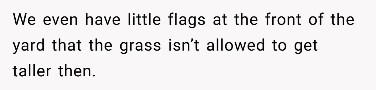 We even have little flags at the front of the yard that the grass isn’t allowed to get taller then.
