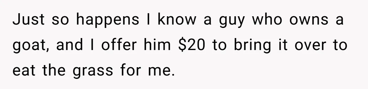 Just so happens I know a guy who owns a goat, and I offer him $20 to bring it over to eat the grass for me.