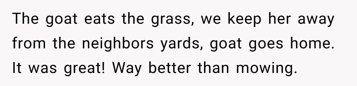 The goat eats the grass, we keep her away from the neighbors yards, goat goes home. It was great! Way better than mowing.