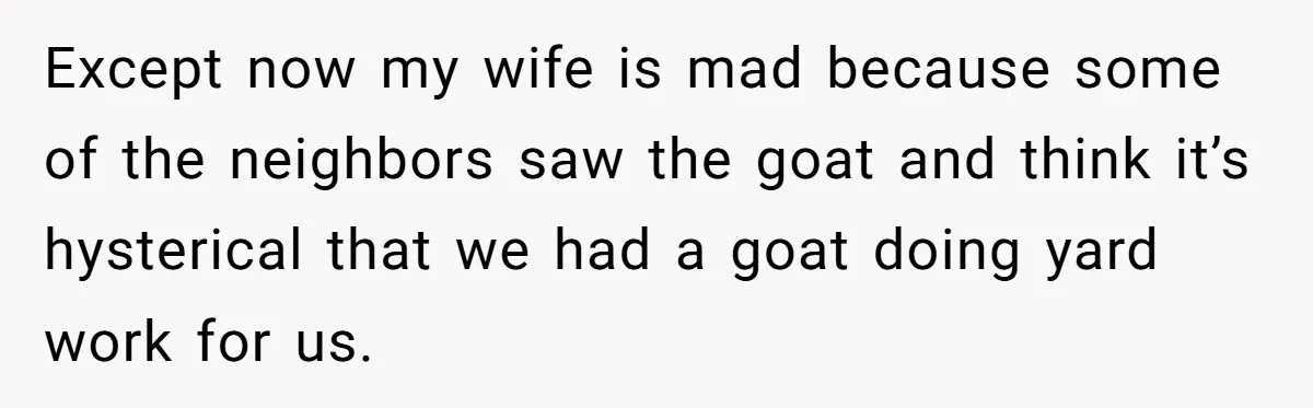 Except now my wife is mad because some of the neighbors saw the goat and think it’s hysterical that we had a goat doing yard work for us.