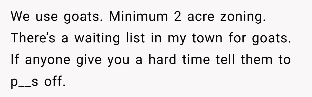 We use goats. Minimum 2 acre zoning. There’s a waiting list in my town for goats. If anyone give you a hard time tell them to p__s off.