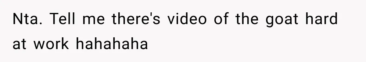 Nta. Tell me there's video of the goat hard at work hahahaha