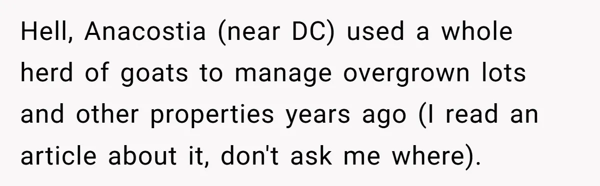 Hell, Anacostia (near DC) used a whole herd of goats to manage overgrown lots and other properties years ago (I read an article about it, don't ask me where).