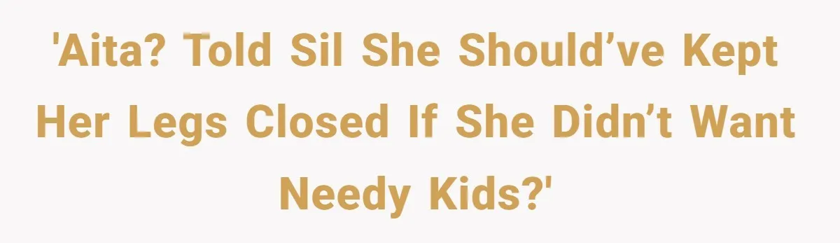 'AITA? Told SIL she should’ve kept her legs closed if she didn’t want needy kids?'