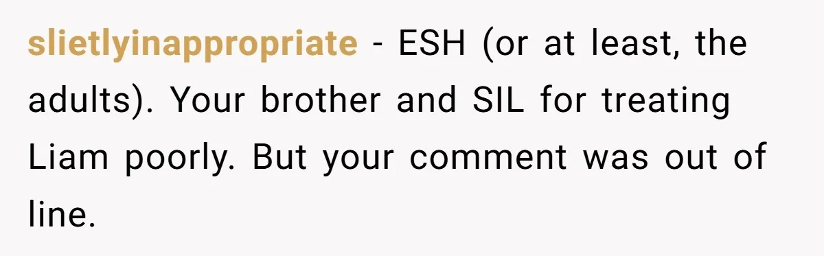 slietlyinappropriate − ESH (or at least, the adults). Your brother and SIL for treating Liam poorly. But your comment was out of line.