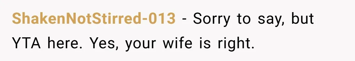 ShakenNotStirred-013 − Sorry to say, but YTA here. Yes, your wife is right.