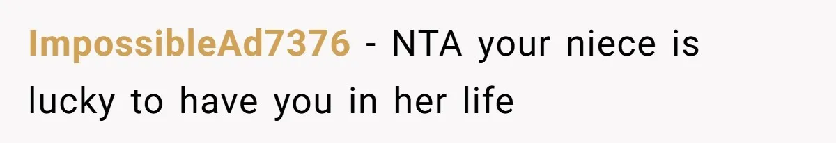 ImpossibleAd7376 − NTA your niece is lucky to have you in her life