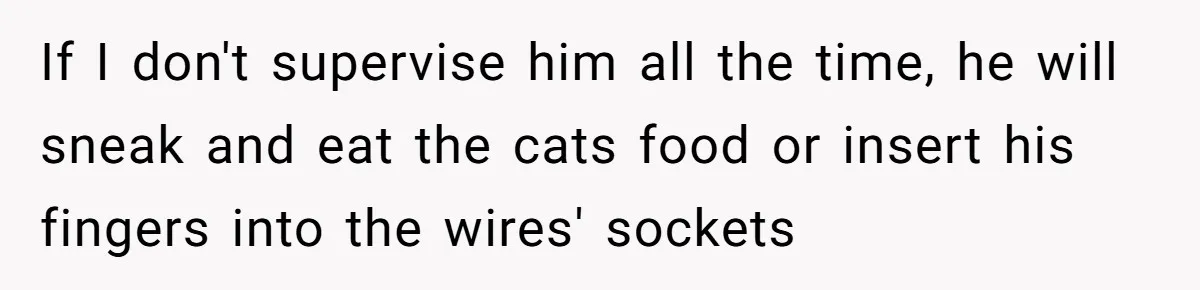 If I don't supervise him all the time, he will sneak and eat the cats food or insert his fingers into the wires' sockets