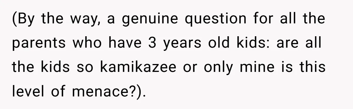 (By the way, a genuine question for all the parents who have 3 years old kids: are all the kids so kamikazee or only mine is this level of menace?).