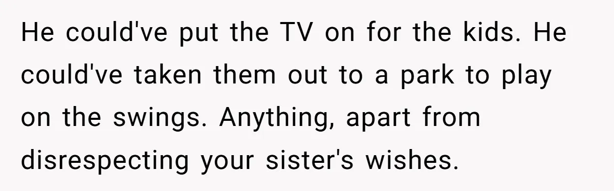 He could've put the TV on for the kids. He could've taken them out to a park to play on the swings. Anything, apart from disrespecting your sister's wishes.