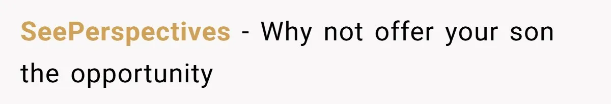 SeePerspectives − Why not offer your son the opportunity