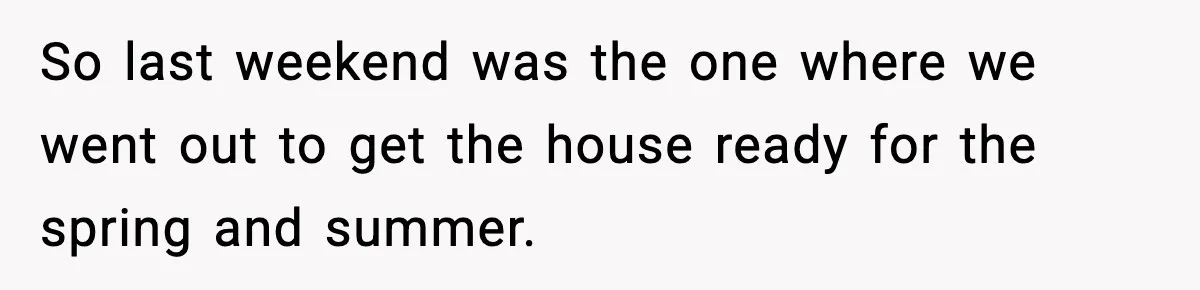 So last weekend was the one where we went out to get the house ready for the spring and summer.