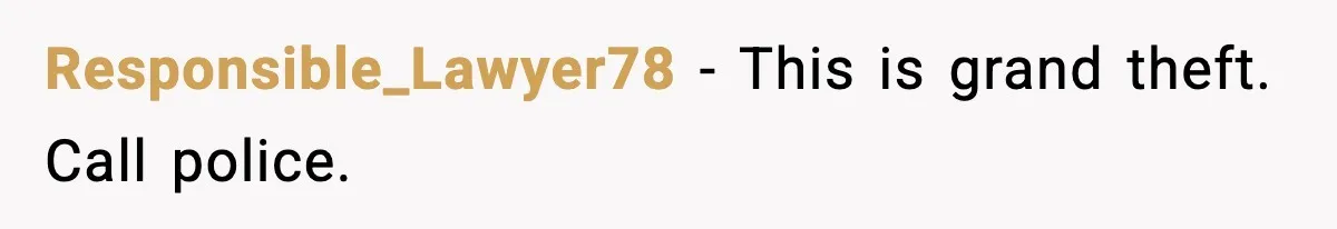 Responsible_Lawyer78 - This is grand theft. Call police.