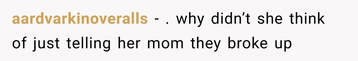 aardvarkinoveralls − . why didn’t she think of just telling her mom they broke up