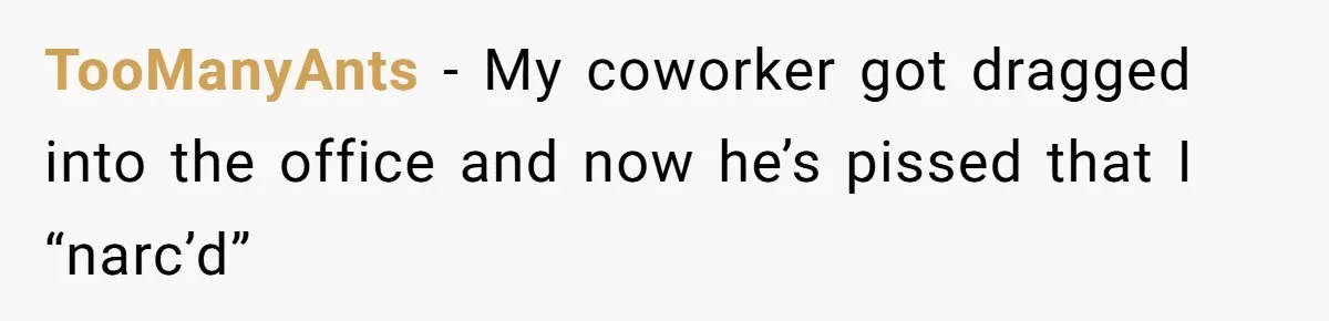 TooManyAnts − My coworker got dragged into the office and now he’s pissed that I “narc’d”