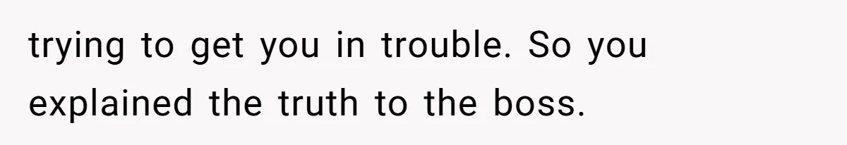 trying to get you in trouble. So you explained the truth to the boss.