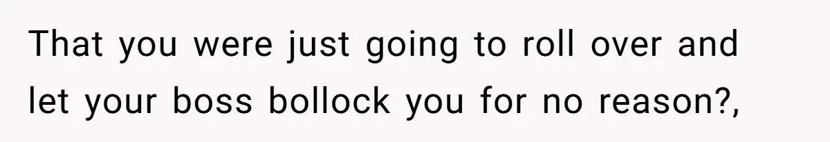 That you were just going to roll over and let your boss bollock you for no reason?,