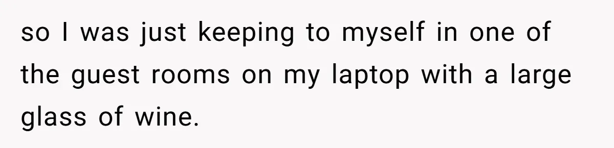 so I was just keeping to myself in one of the guest rooms on my laptop with a large glass of wine.