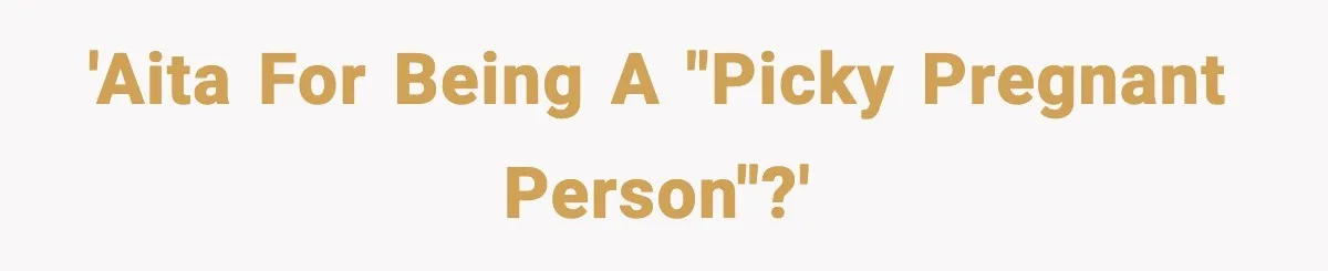 'AITA For being a "picky pregnant person"?'