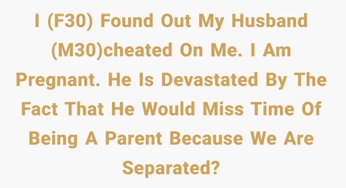 I (f30) found out my husband (m30)cheated on me. I am pregnant. He is devastated by the fact that he would miss time of being a parent because we are...