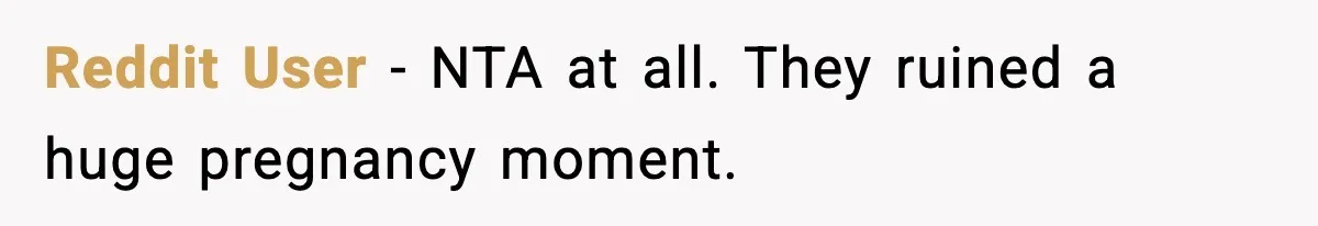 Reddit User - NTA at all. They ruined a huge pregnancy moment.