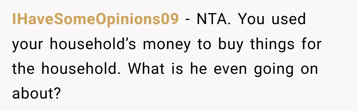 IHaveSomeOpinions09 − NTA. You used your household’s money to buy things for the household. What is he even going on about?