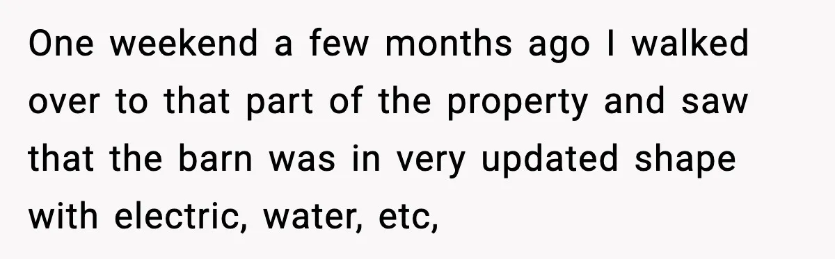 One weekend a few months ago I walked over to that part of the property and saw that the barn was in very updated shape with electric, water, etc,